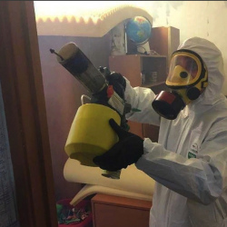 Уничтожение клопов в квартире. Северск